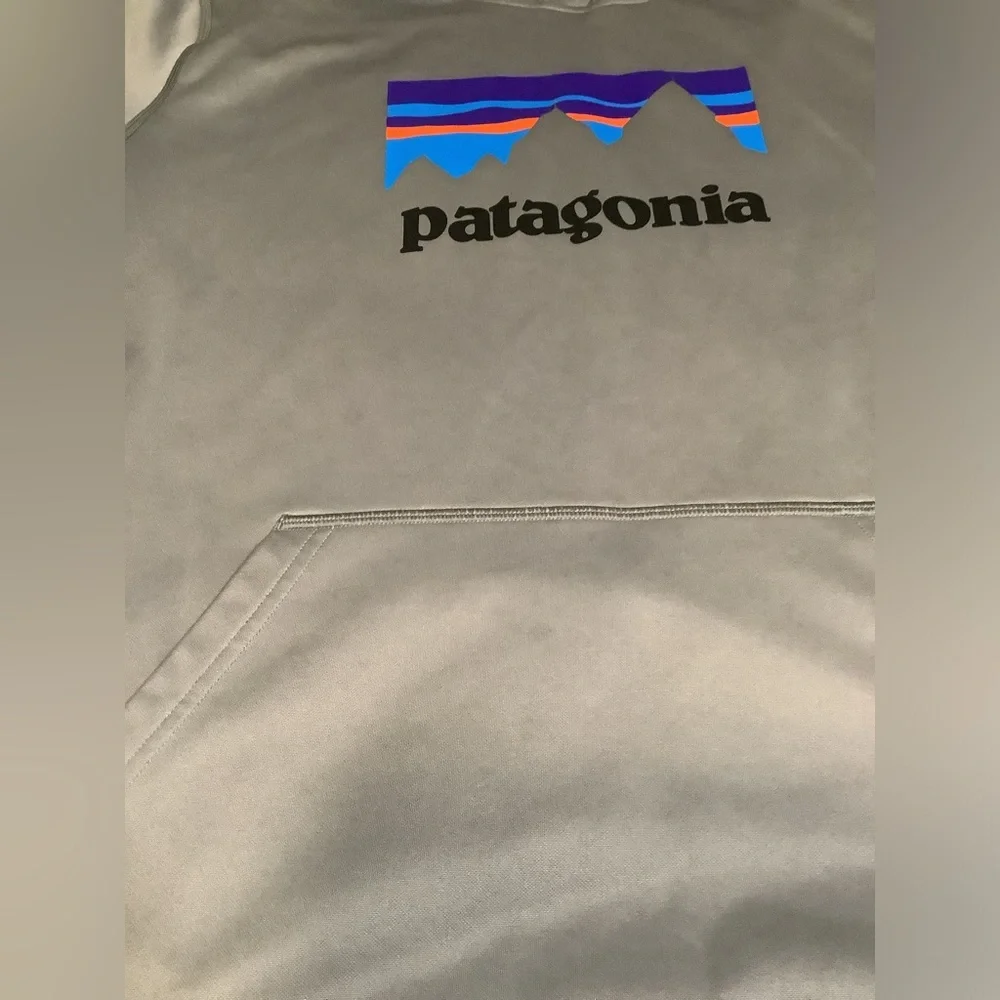 Patagonia Mens Xl Hoodie